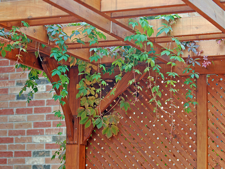 Outdoor living - decks, pergolas, docks and more in Dallas-Fort Worth Metroplex